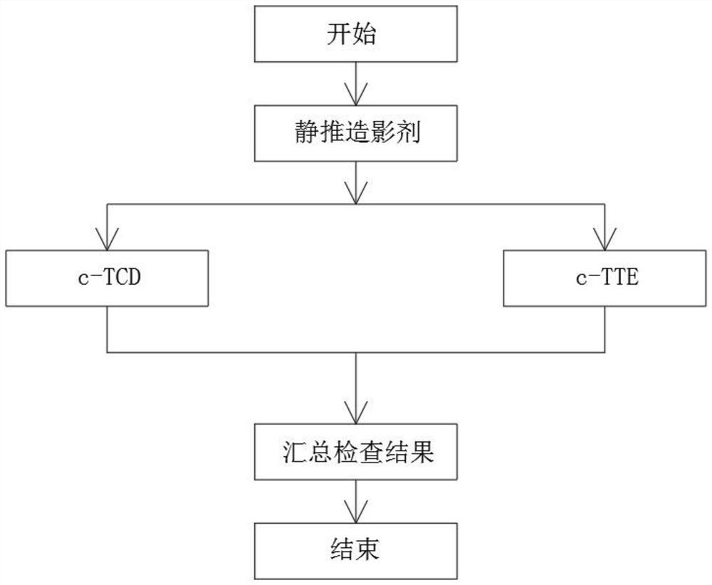 一种“心脑”联合同步发泡试验检查方法