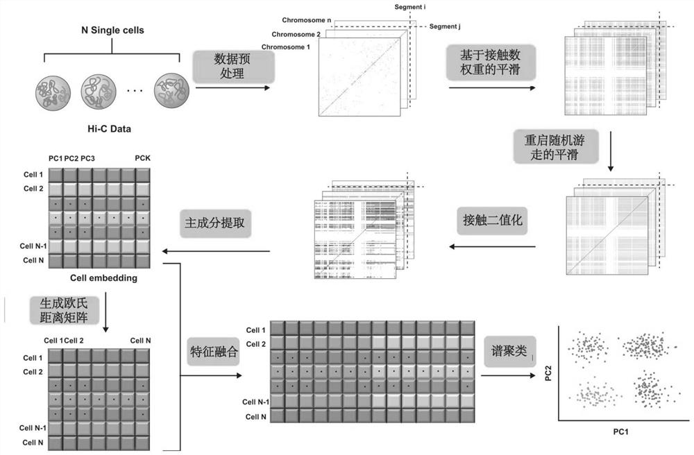 一种基于接触数权重平滑和特征融合的单细胞Hi-C聚类方法及系统