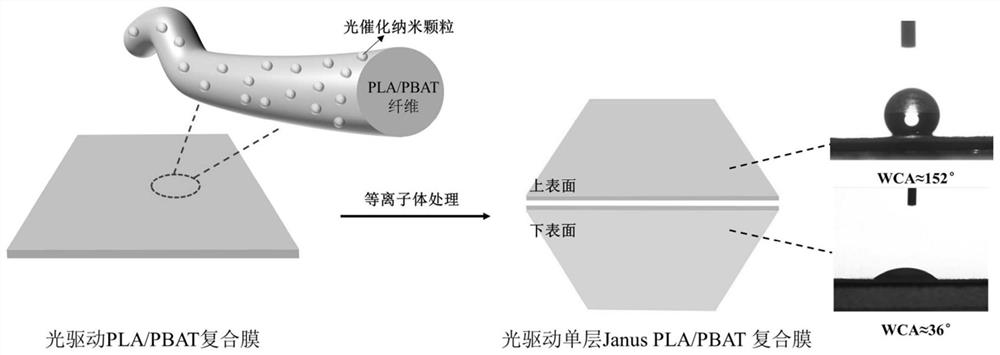 一种光驱动单层Janus油水分离膜及其制备方法