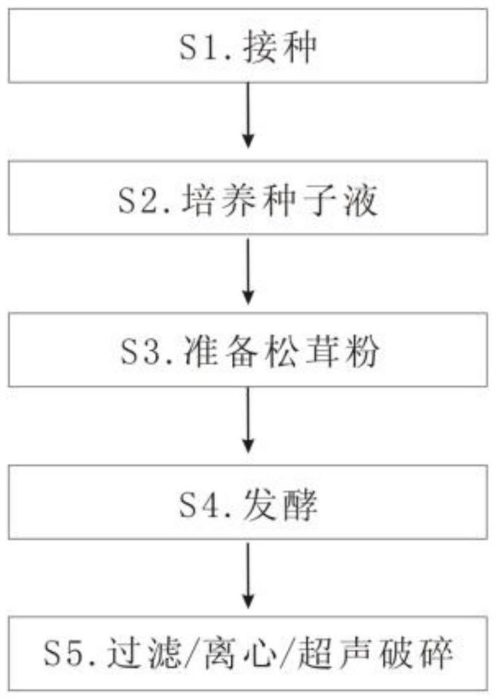 一种具有修复抗衰功效的松茸酵母发酵液的制备方法及其应用