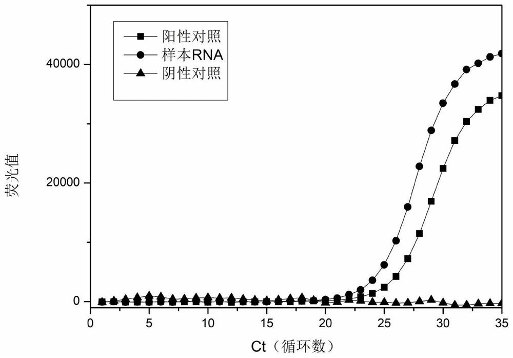 一种快速提取核酸的方法