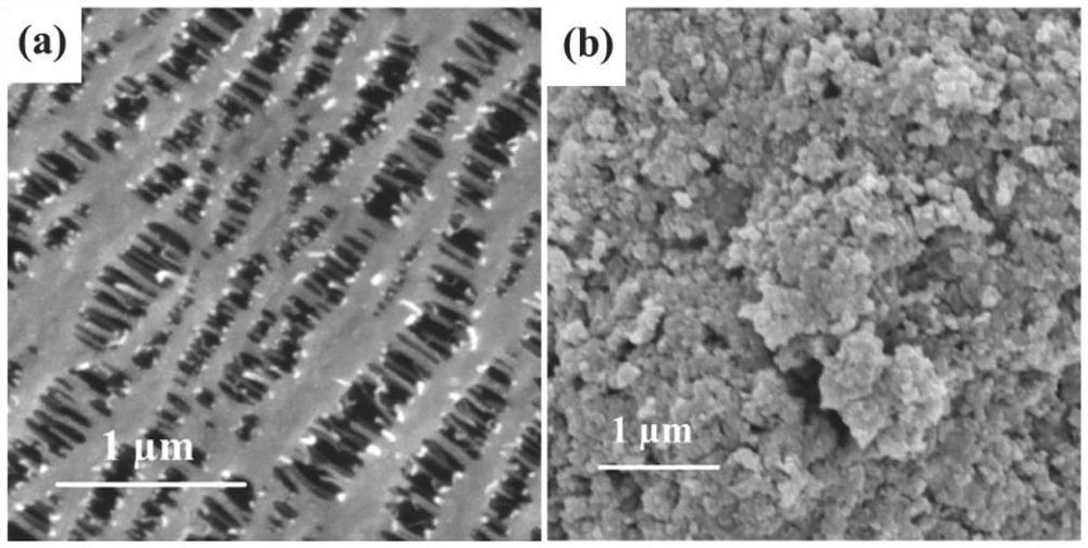 层间宽化MoSe2纳米管修饰的Celgard隔膜及其制备方法和在锂硫电池中的应用