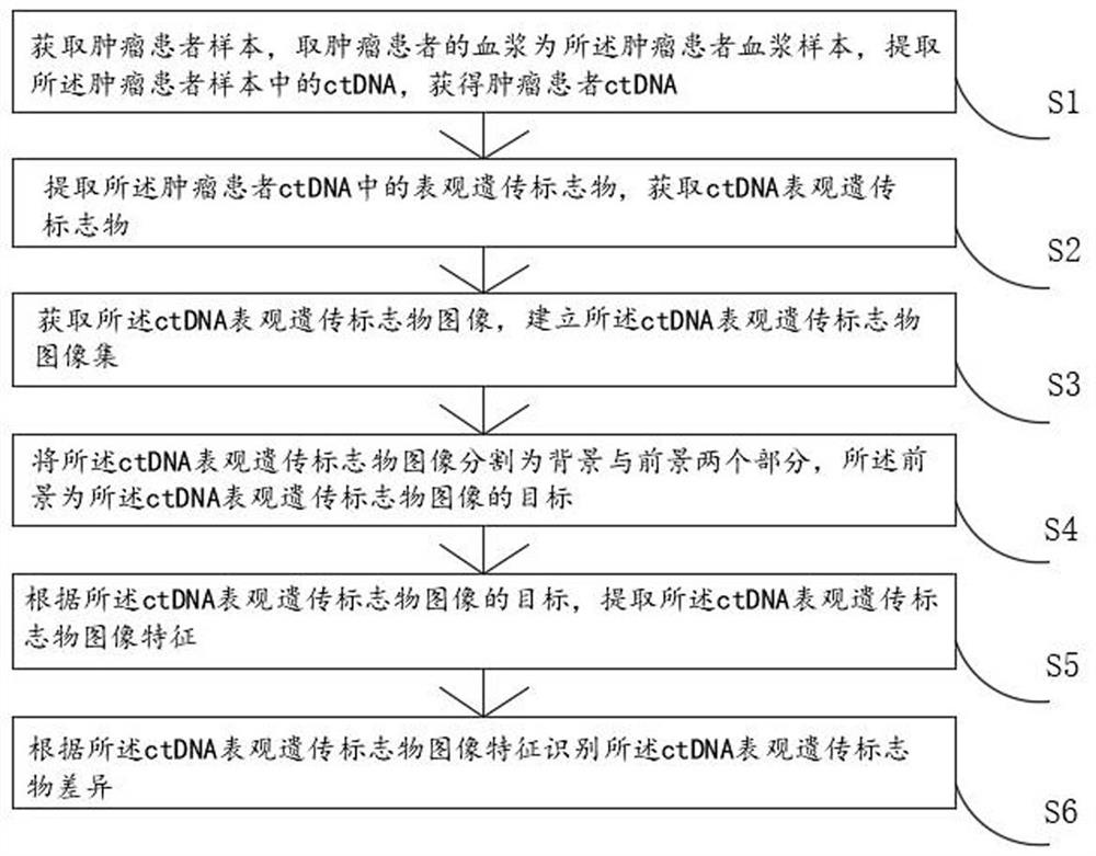 一种用于肿瘤筛查的ctDNA多维表观遗传标志物差异识别方法