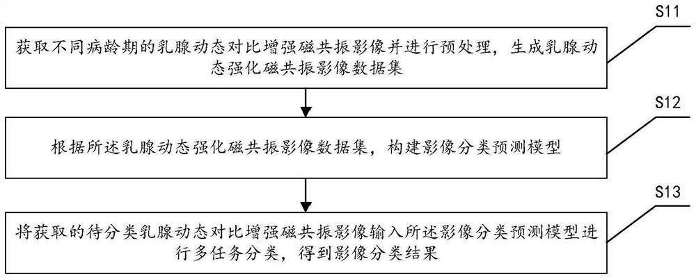 动态对比增强磁共振影像分类方法、系统、设备及介质