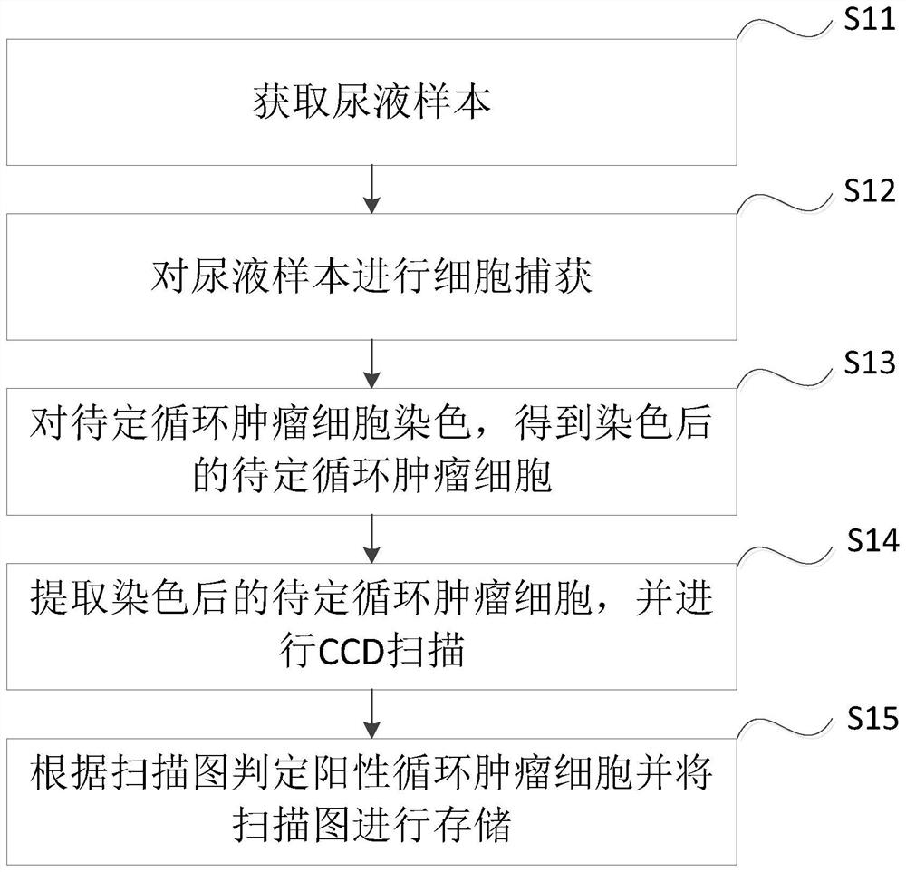 一种尿液循环肿瘤细胞收检方法及系统