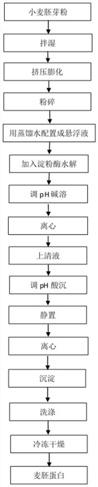 一种提高麦胚蛋白溶解性和乳化性能的方法