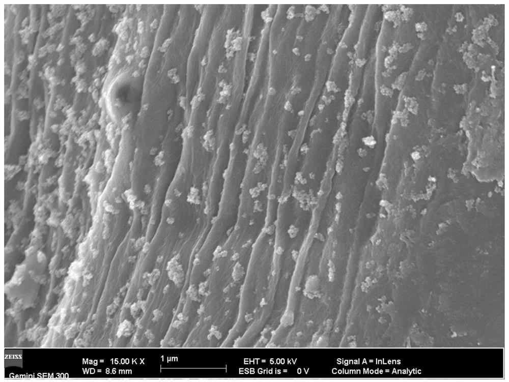 一种改性纳米ZnO抗菌纤维素纤维及织物的制备方法