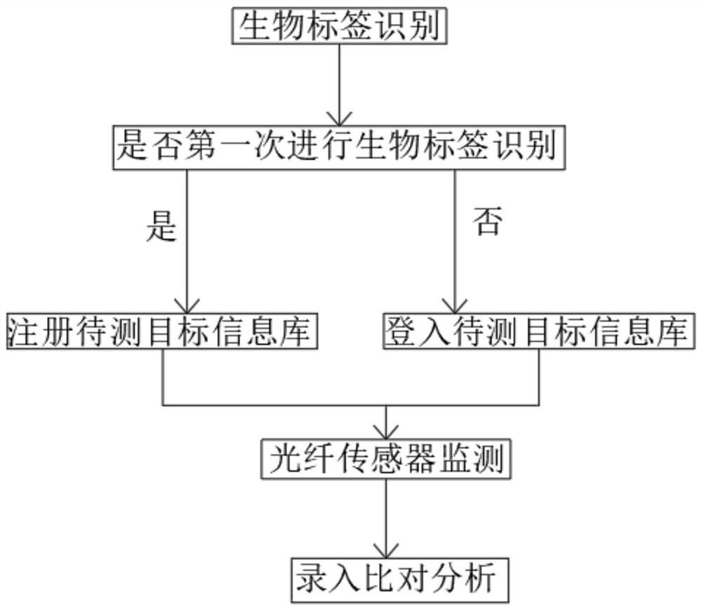 一种基于光纤传感器的体征分布式监测方法和系统