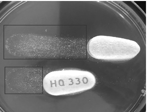 评价仿制药和原研药生物利用度的方法及其应用