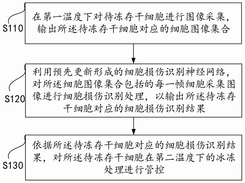 一种应用于冻干细胞存储的温度控制方法及系统