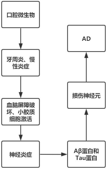 一种检测试剂盒、检测工具及其在预测阿尔兹海默病中的用途