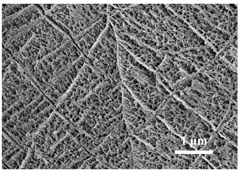 一种纤维表面Si3N4纳米网络复合界面相层及其制备方法