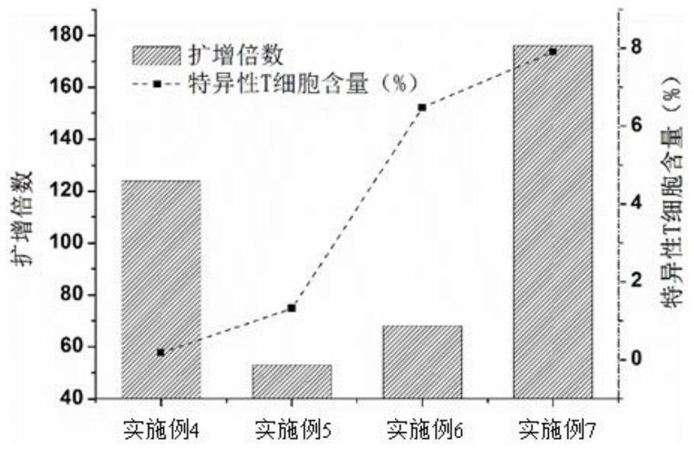 肿瘤特异性CTL细胞的培养方法及细胞治疗产品