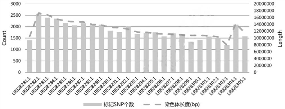 菠萝液相芯片及其应用