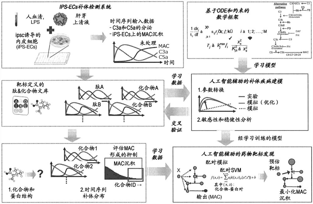 靶分子预测方法