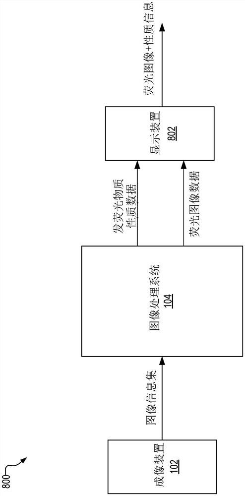 基于图像确定发荧光物质的性质