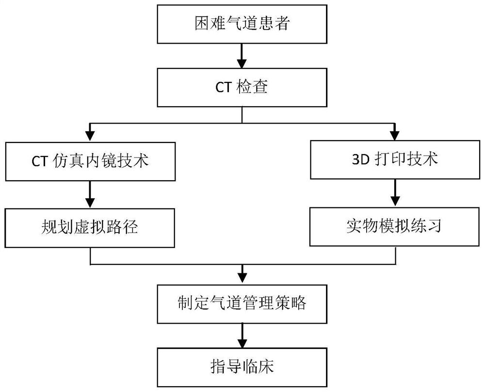 基于CT仿真内镜与3D打印技术的困难气道管理方法