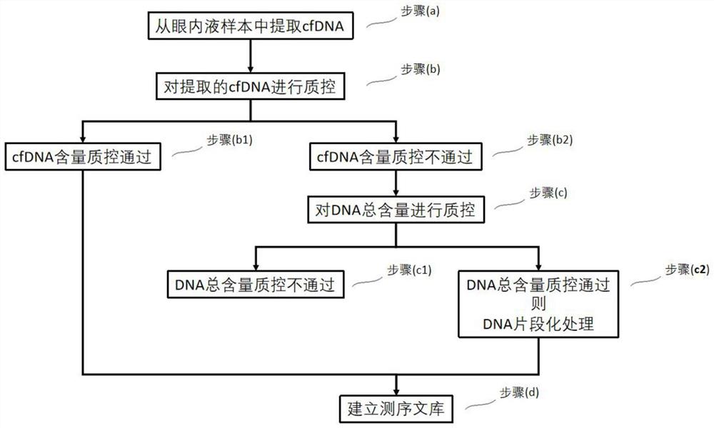 一种适用于微量眼内液样本cfDNA测序的核酸抽提方法