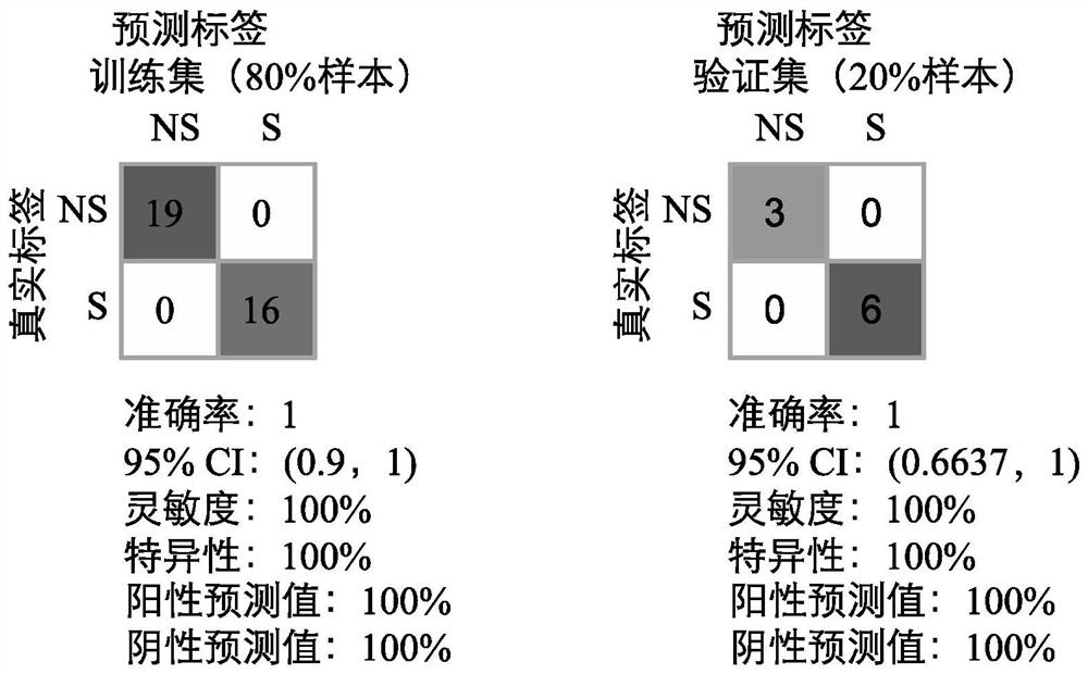 生物标志物组合及其在预测药物治疗胃癌效果中的应用