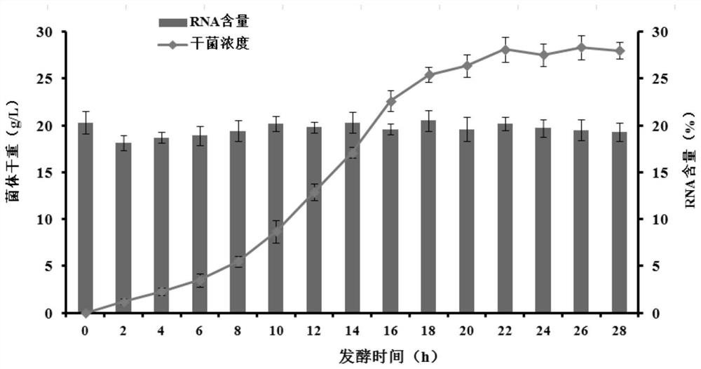 一种生物法生产高含量天然小分子RNA的方法