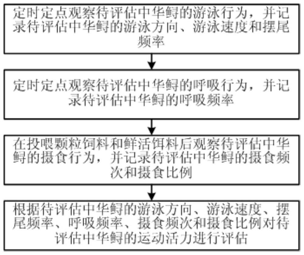 一种基于三类行为学指标的中华鲟运动活力评估方法