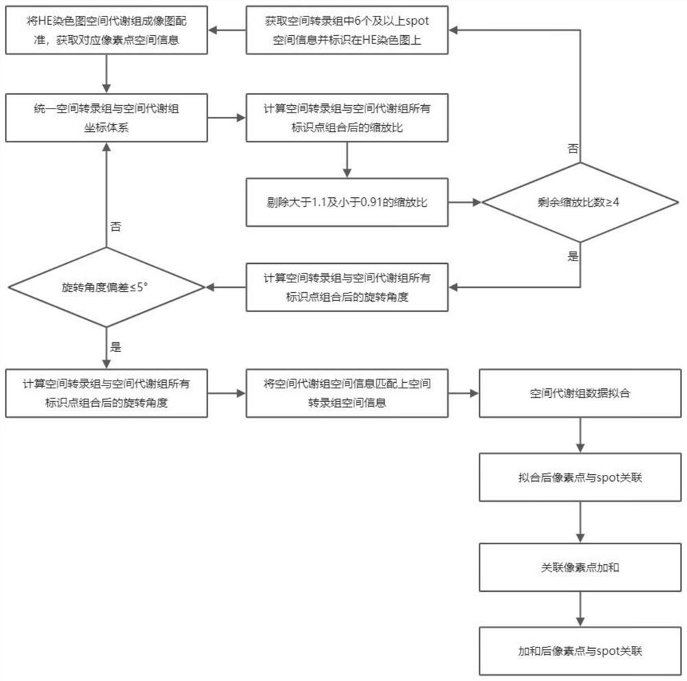 一种空间转录组与空间代谢组点对点匹配方法及系统