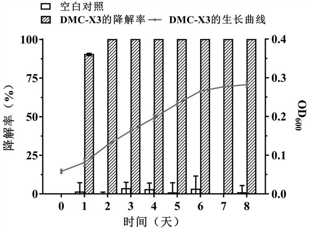 一株可降解微囊藻毒素的寡养单胞菌、固定化菌剂及应用