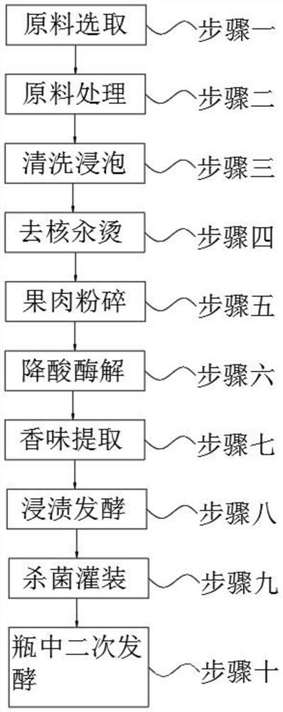 一种陈皮青梅起泡酒及加工工艺