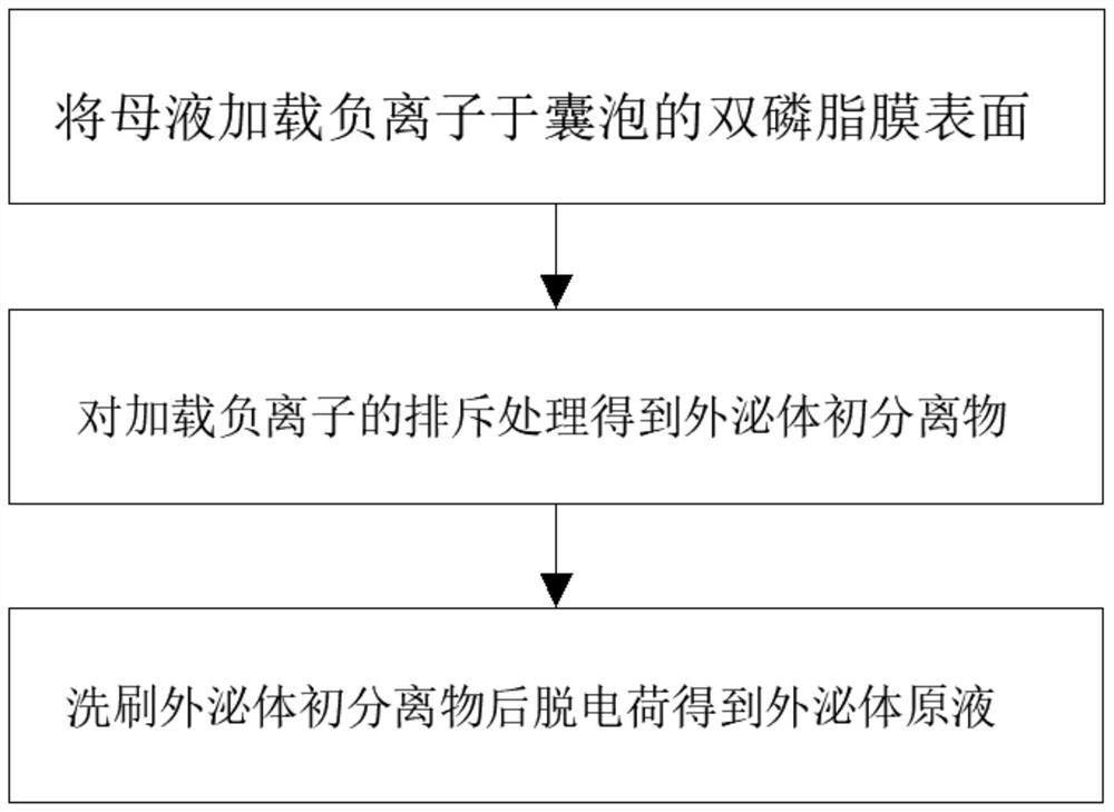 一种高效的外泌体分离纯化方法及制备装置