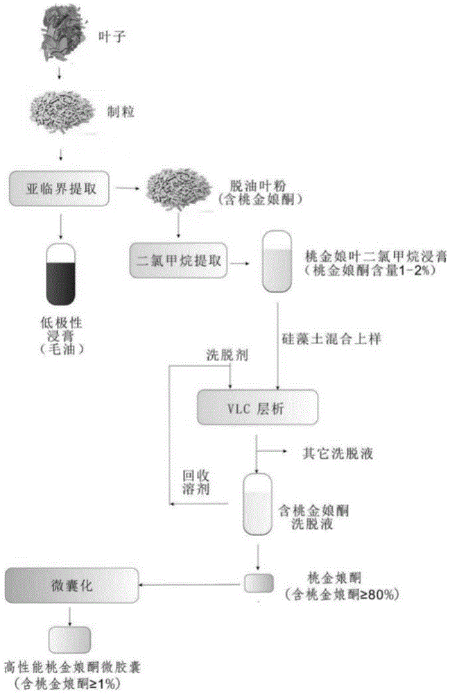 一种桃金娘酮工业化提取方法和桃金娘酮微胶囊的制备方法