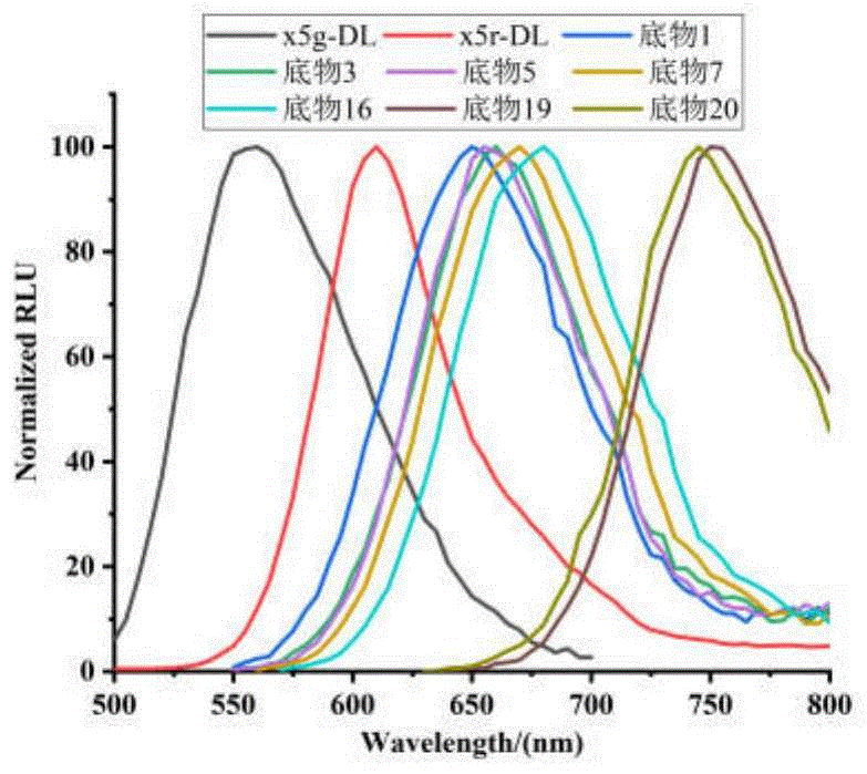 一种萤光素酶底物及其制备方法和用途