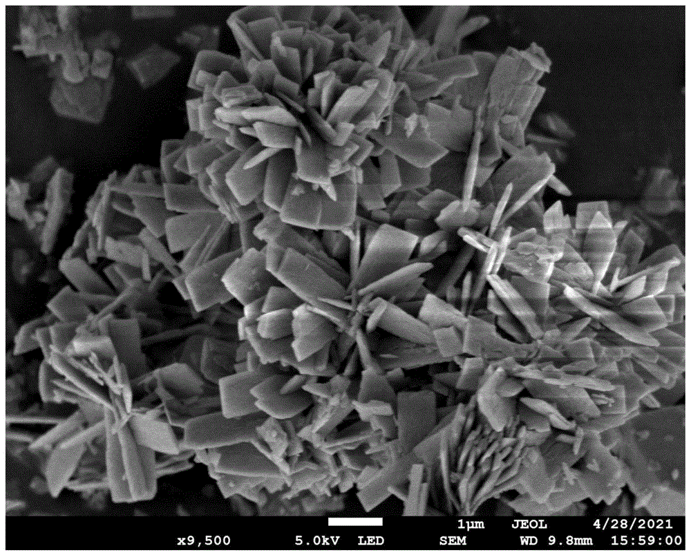板片花簇状ξ-碘酸镉的制备方法及在污水处理中的应用