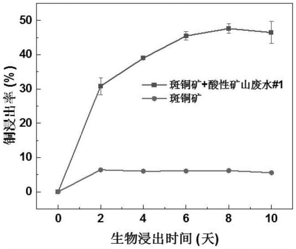 一种利用酸性矿山废水促进斑铜矿生物浸出的方法