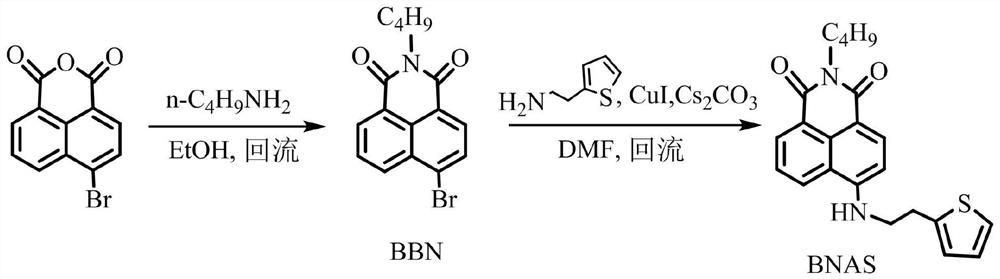 一种1,8-萘酰亚胺衍生物及其制备方法与应用