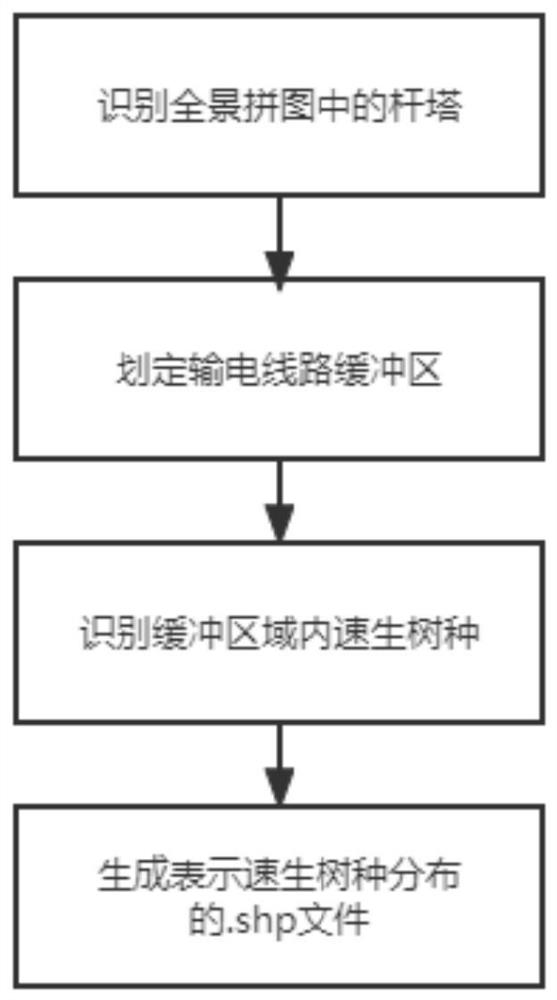 一种输电线路通道速生树种识别方法及系统