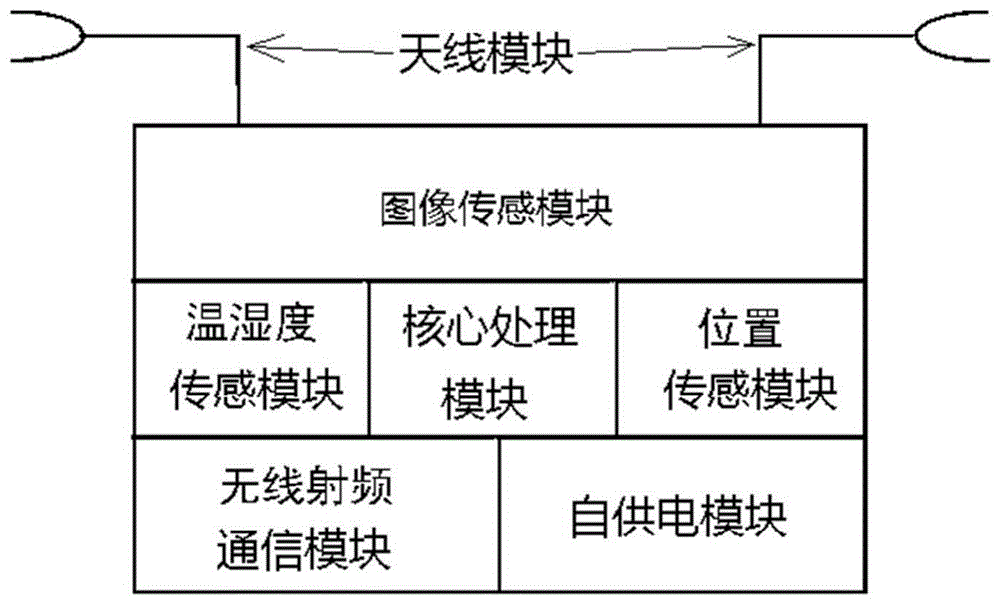 特殊地区高压输电设施状态监测终端及监测系统