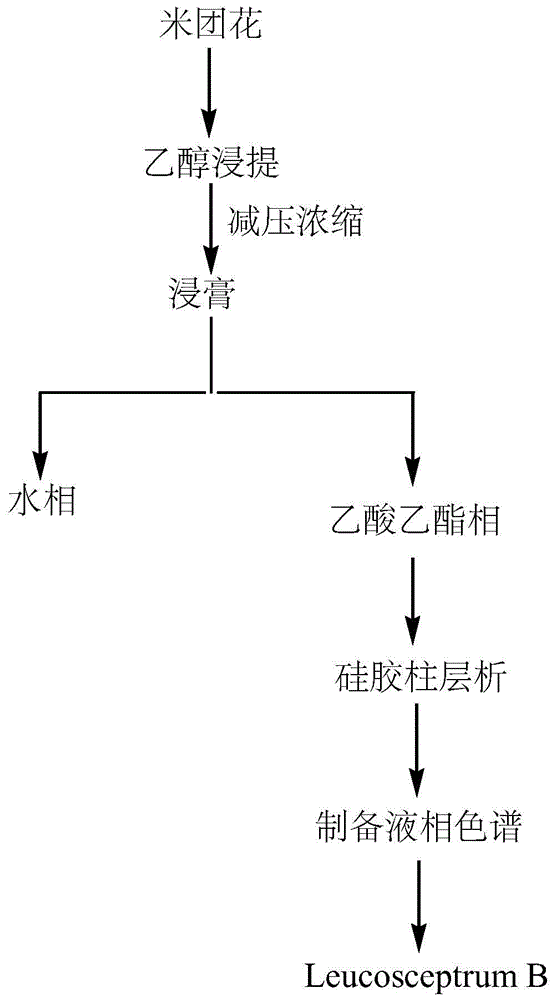 一种松香烷型二萜化合物、制备方法、应用及抗肿瘤药物