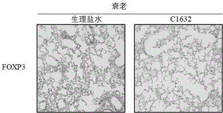 1,2,4三唑并4,3-B哒嗪衍生物在制备抗衰老药物中的应用