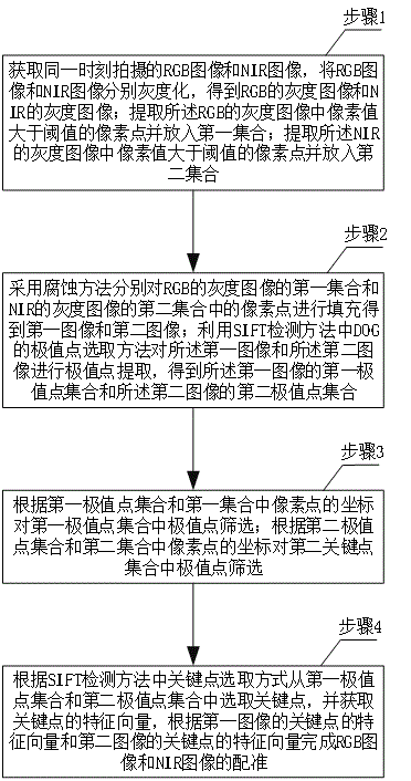 一种荧光分子图像处理方法及系统