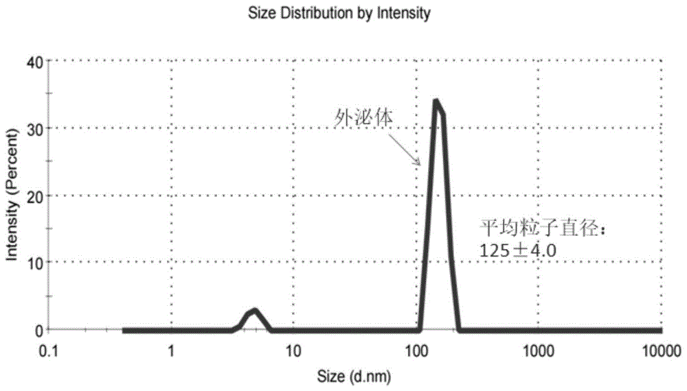 一种鲜乳中外泌体规模化提取方法