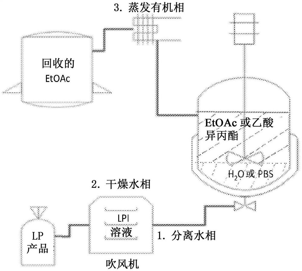 溶血磷脂酰肌醇的制备方法