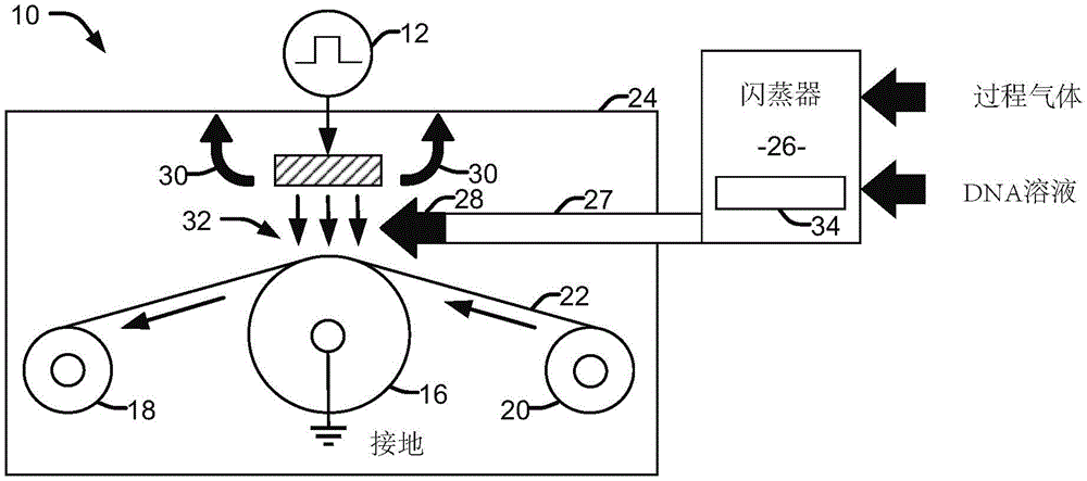 用于通过大气等离子体处理将分子代码接枝到材料上的系统和方法