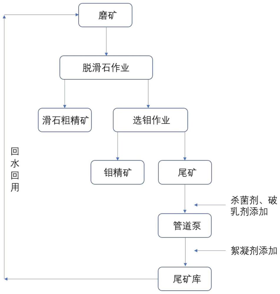 高滑石型钼矿选矿回水的处理方法