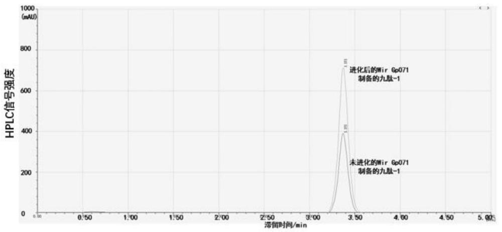 内含肽Wir Gp071变体、编码基因及其在制备九肽-1中的应用