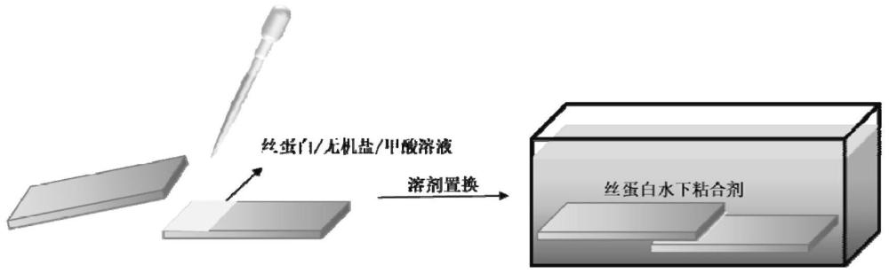 一种丝蛋白基水下粘合剂及其制备方法