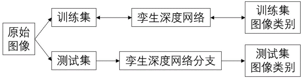 小样本白光图像下声带白斑类型的分类方法