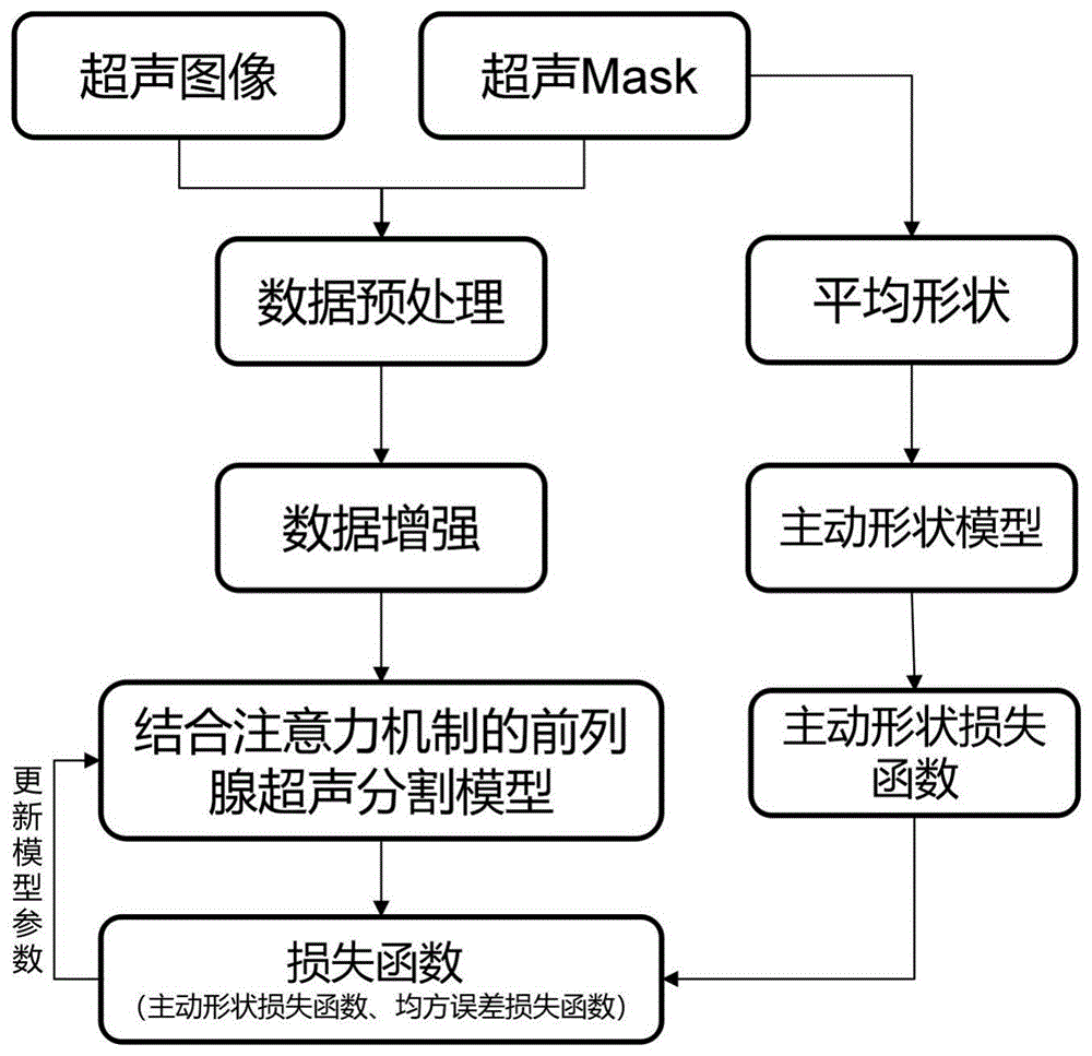 前列腺超声分割模型的训练方法、分割方法及装置