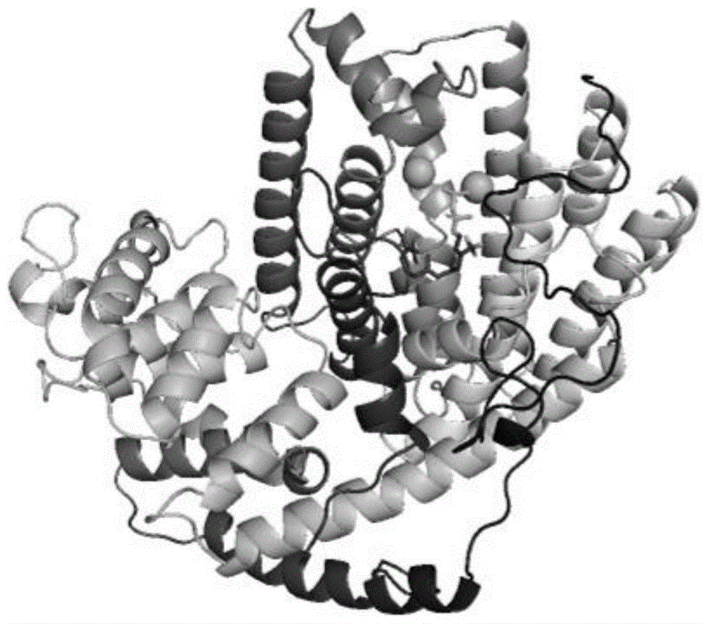 一种双环吉玛烯合成酶突变体和基因序列以及应用