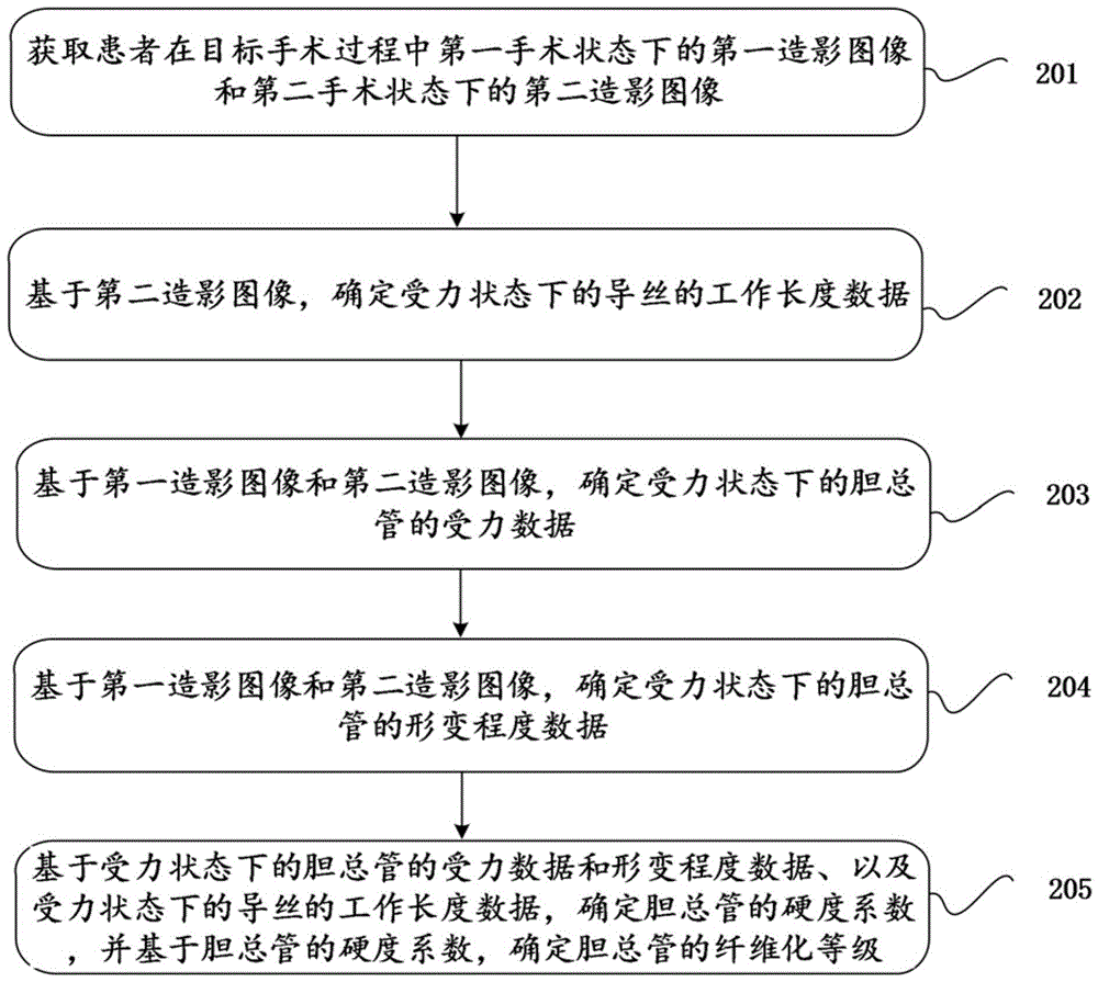 胆总管纤维化等级确定方法、装置及其相关设备