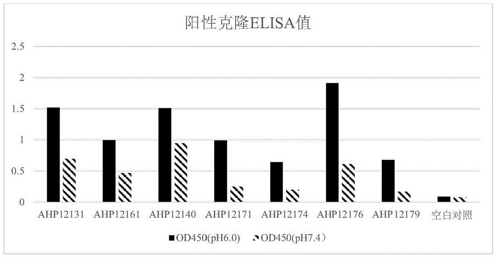 抗人FcRn单域抗体及其应用